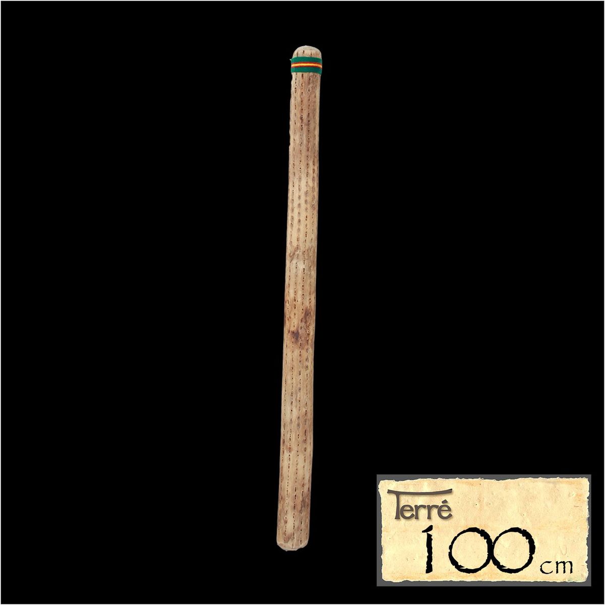 Regnstav av kaktus 100 cm,  6-8 cm - Dvy & Foss Musikk